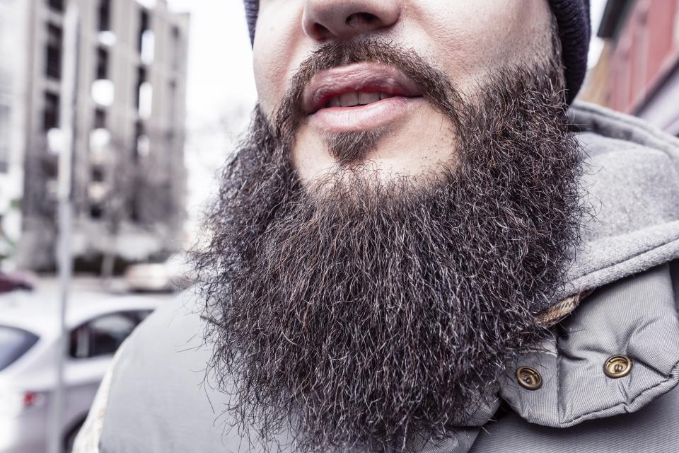 Beard Hair (stock photo)